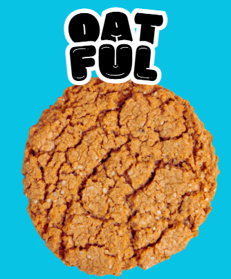 "Oatful Cookie: Simple, Wholesome, & Packed with Goodness"